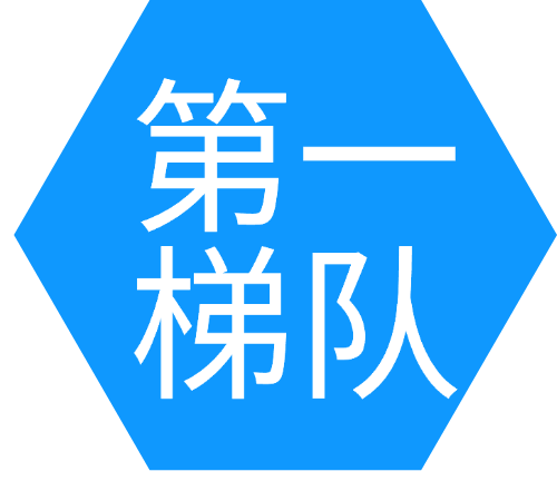 全球車(chē)聯(lián)網(wǎng)后裝廠商第一梯隊(duì)